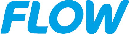Flow Logo Color