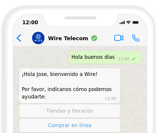 Phone Mockup WhatsApp Conversation